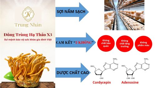 Đông trùng hạ thảo X3 Hoàng gia