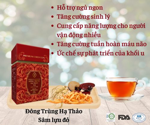 Đông trùng hạ thảo X3 Sâm lựu đỏ