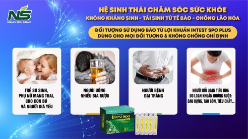 Bào tử lợi khuẩn Intest Hỗ trợ giảm triệu chứng rối loạn tiêu hóa do loạn khuẩn đường ruột