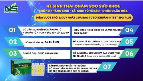 Bào tử lợi khuẩn Intest Hỗ trợ giảm triệu chứng rối loạn tiêu hóa do loạn khuẩn đường ruột