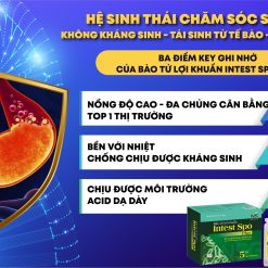 Bào tử lợi khuẩn Intest Hỗ trợ giảm triệu chứng rối loạn tiêu hóa do loạn khuẩn đường ruột